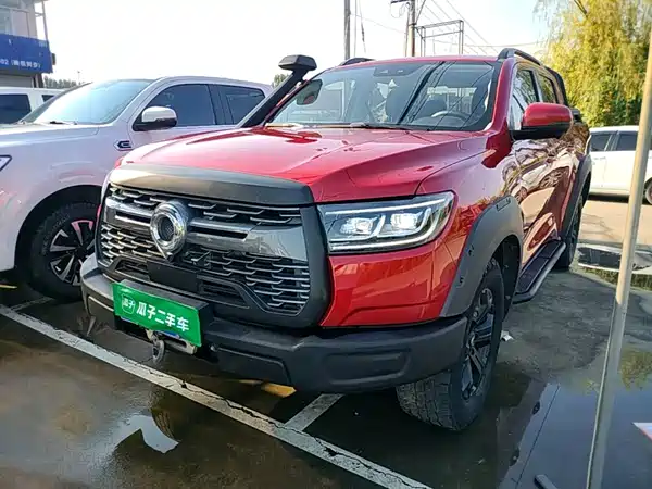 Great Wall Poer 2021