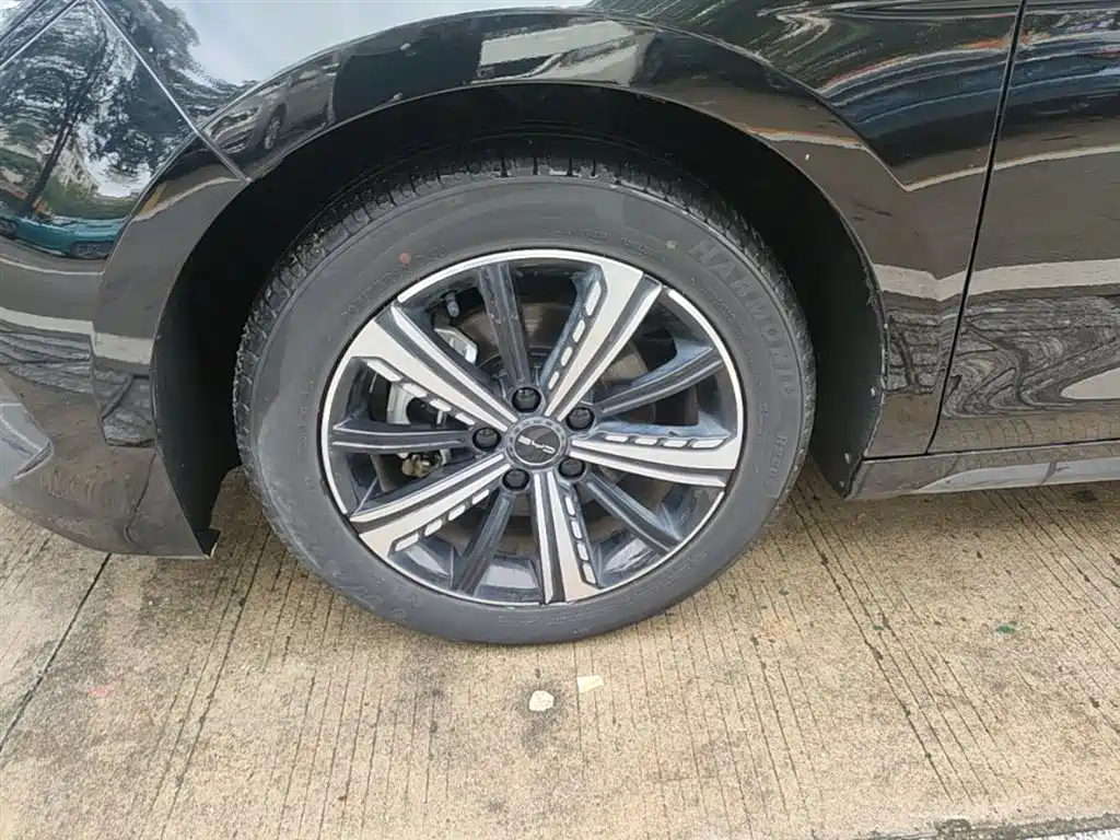 BYD Destroyer 05 2023 — фото 23