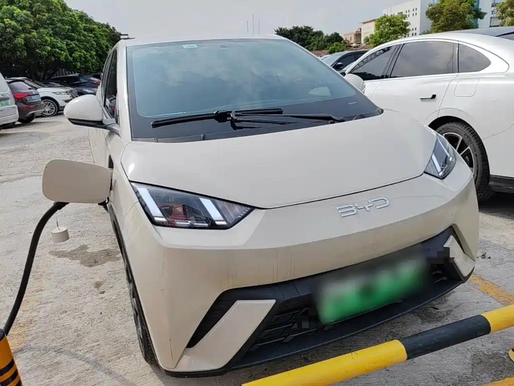 BYD Seagull 2025