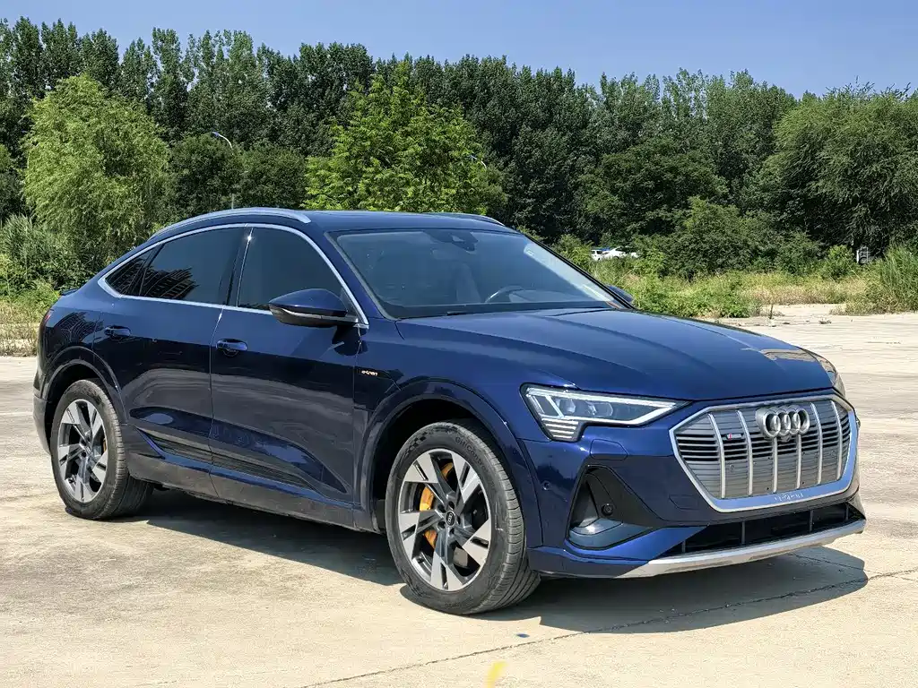 Audi e-tron 2021
