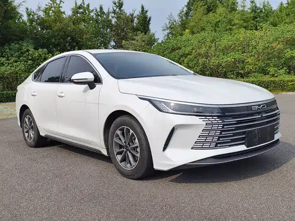 BYD Destroyer 05 2024