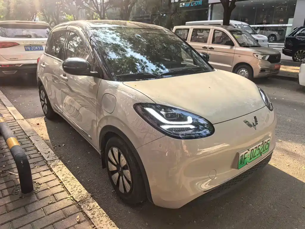 Wuling Bingo 2024