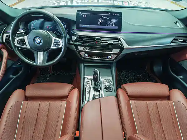 BMW 5 Series New Energy 2022