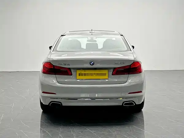 BMW 5 Series 2019