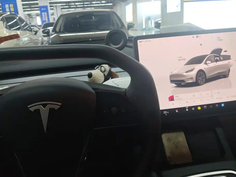 Tesla Model Y 2024 — фото 16