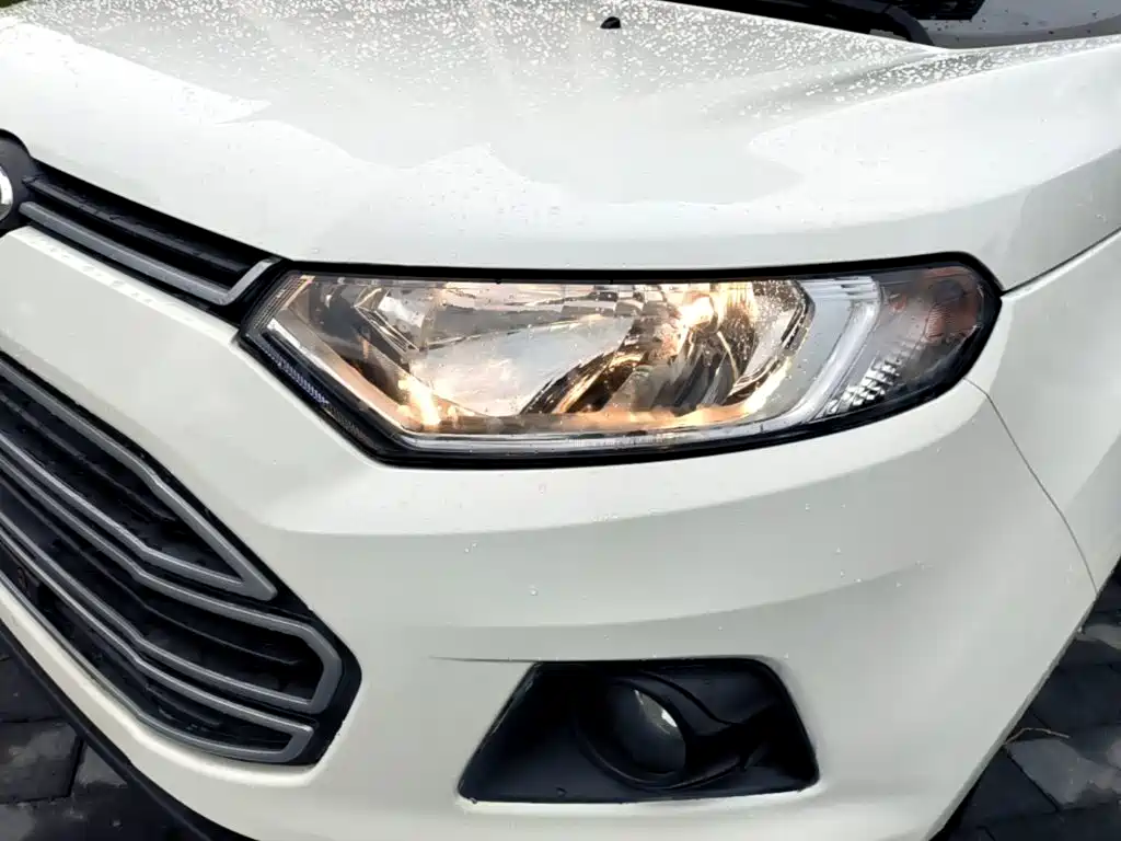 Ford EcoSport 2015 — фото 24