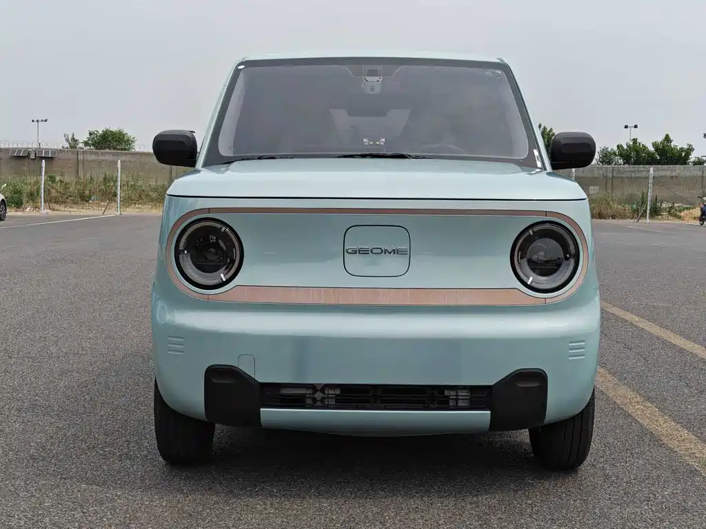 Geely Galaxy Panda 2024