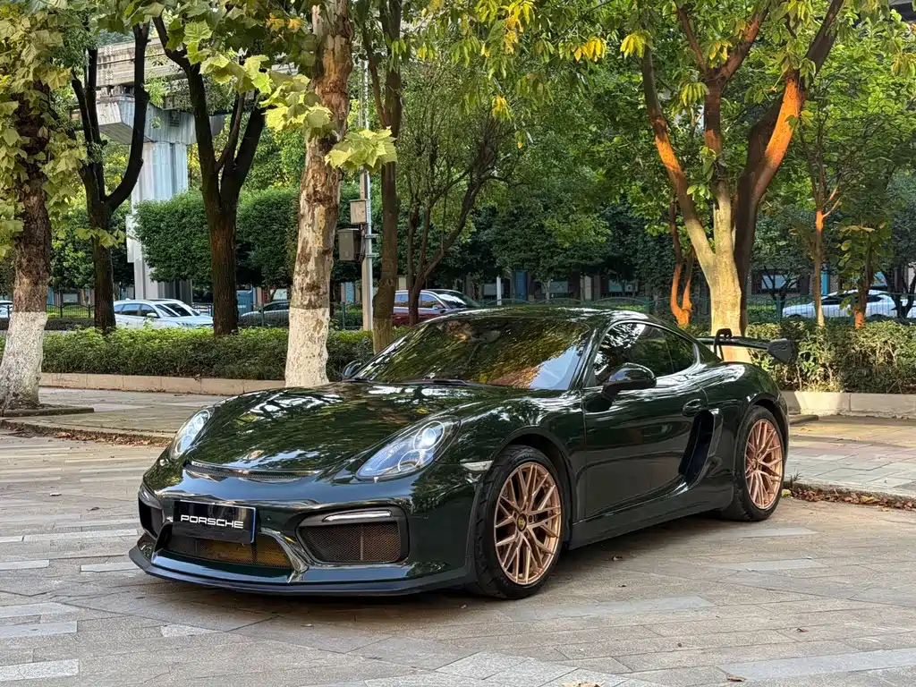 Porsche Cayman 2015 — фото 12
