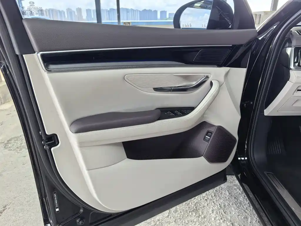 BYD Song PLUS New Energy 2024 — фото 18