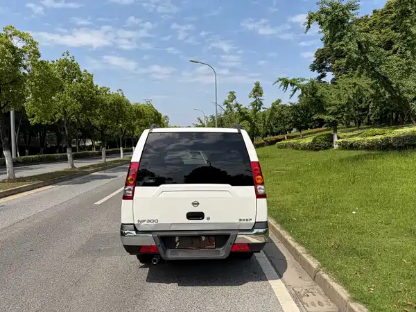Nissan ZN Van 2013