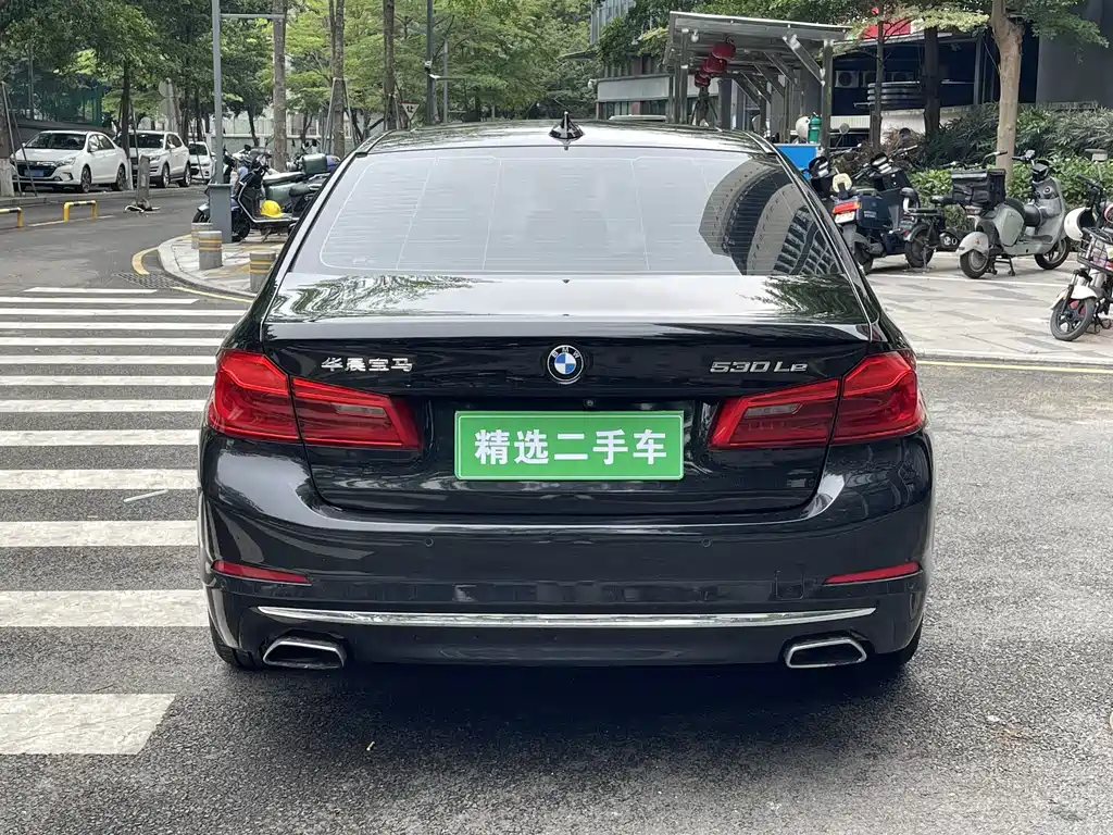 BMW 5 Series New Energy 2019