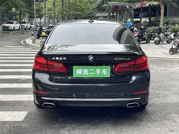BMW 5 Series New Energy 2019