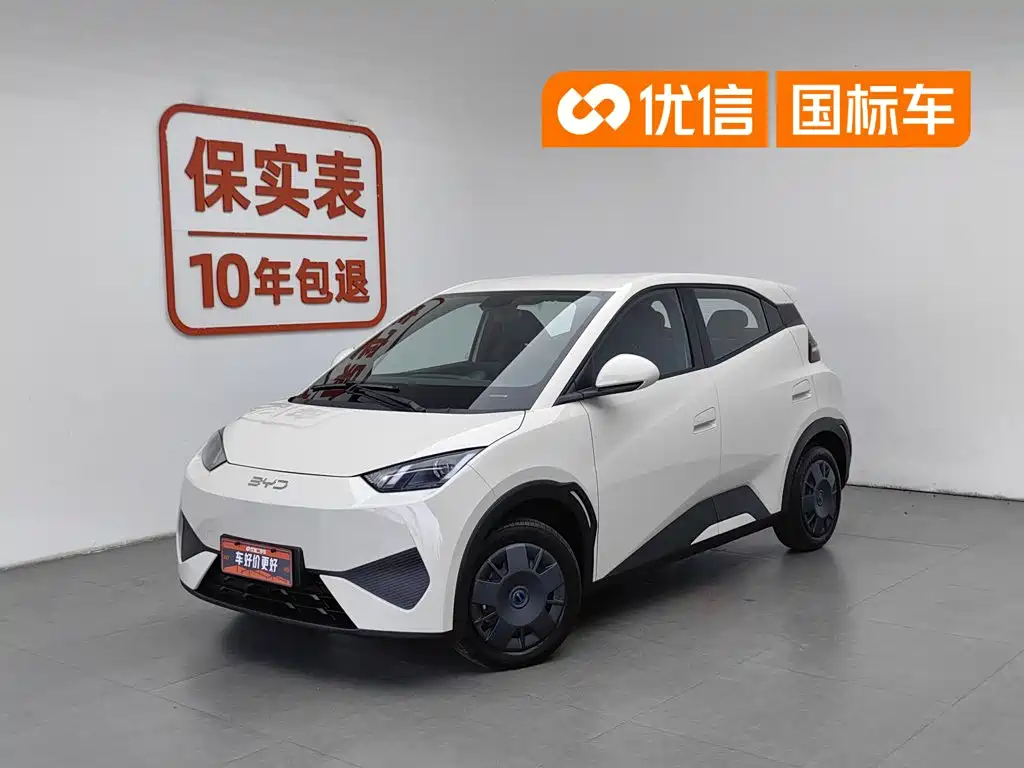 BYD Seagull 2025