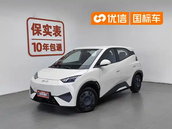 BYD Seagull 2025