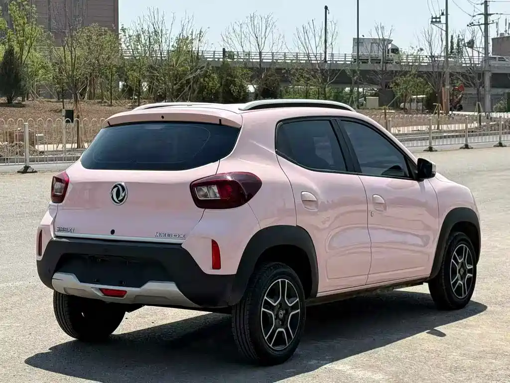 Dongfeng Nano BOX 2024