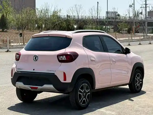 Dongfeng Nano BOX 2024