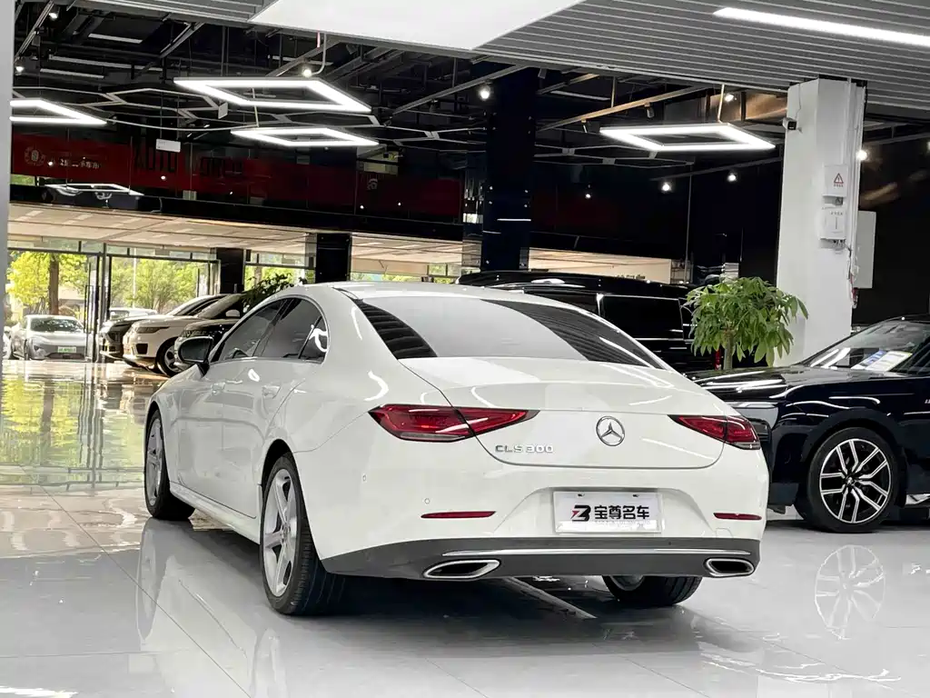 Mercedes-Benz CLS 2019 — фото 10