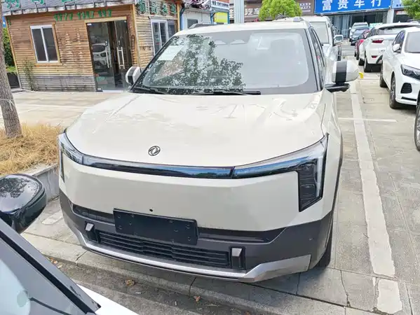 Dongfeng Nano 06 2026