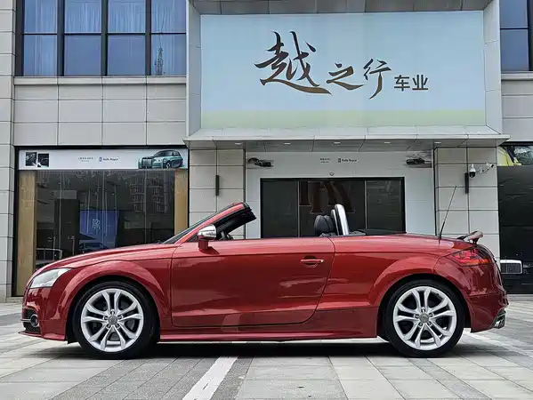 Audi TTS 2013