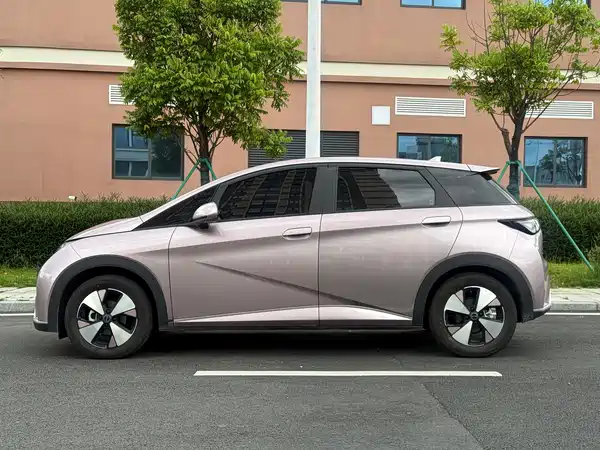 BYD Dolphin 2024