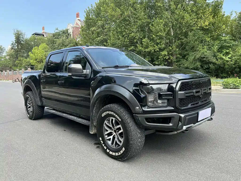 Ford F-150 Raptor 2019 — фото 3