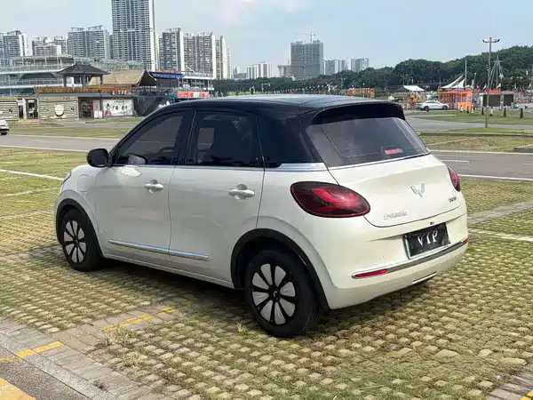 Wuling Bingo 2024