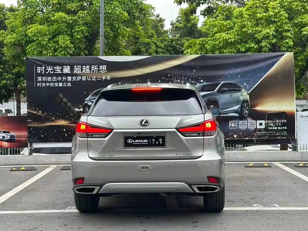 Lexus RX 2020 — фото 14