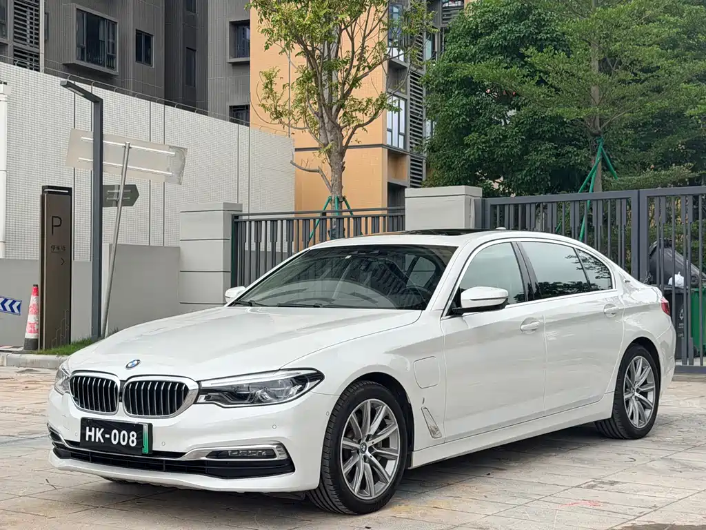 BMW 5 Series New Energy 2019
