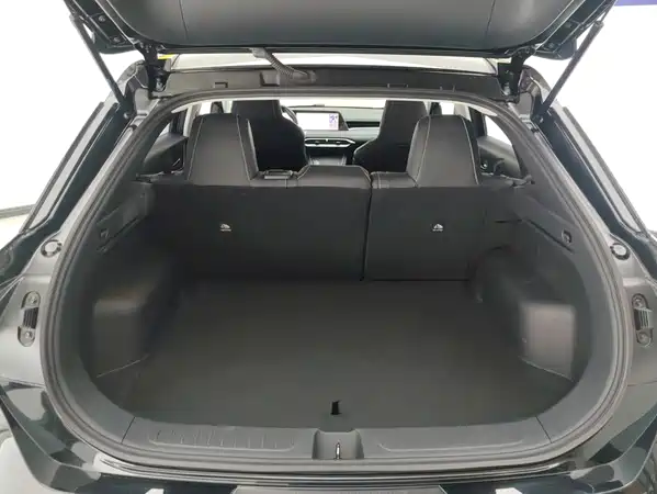 Venucia Big V 2023