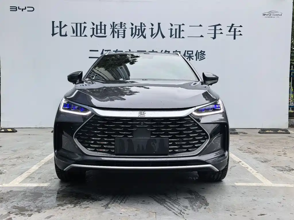 BYD Tang New Energy 2022 — фото 2