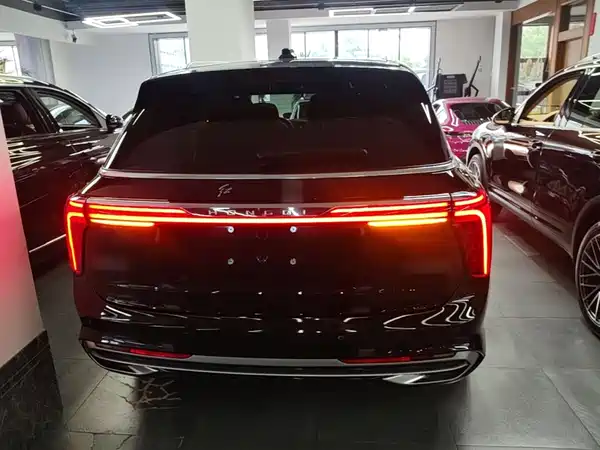 Hongqi E-HS9 2023