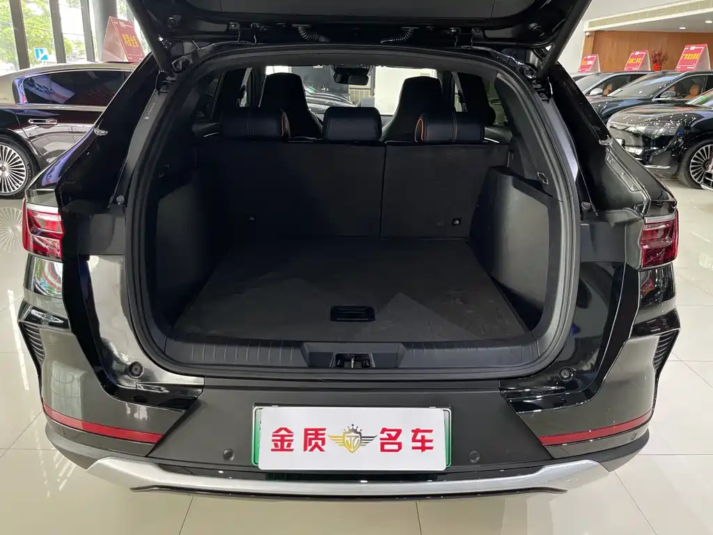 BYD PLUS New Energy 2023 — фото 19