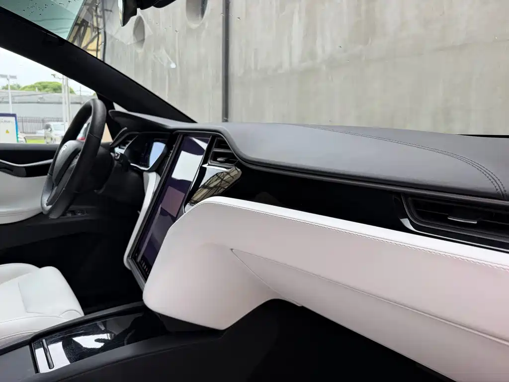 Tesla Model X 2019 — фото 25