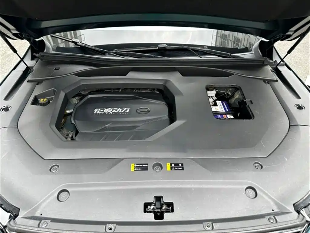 GAC Motor Trumpchi GS8 2021 — фото 14