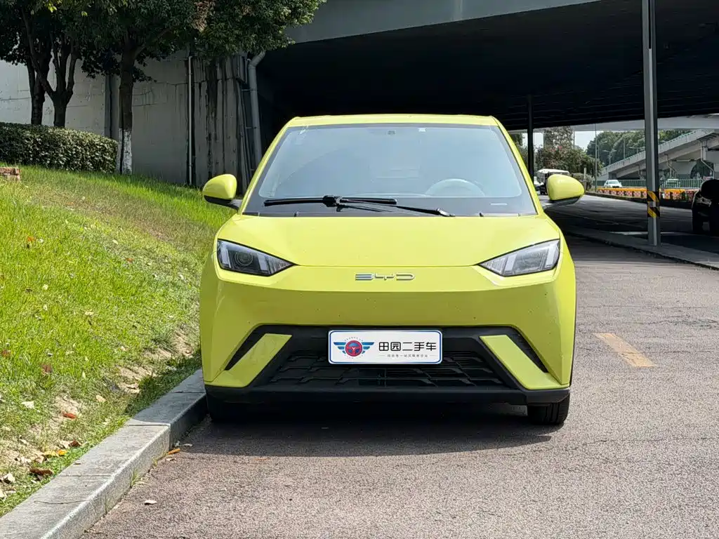 BYD Seagull 2024