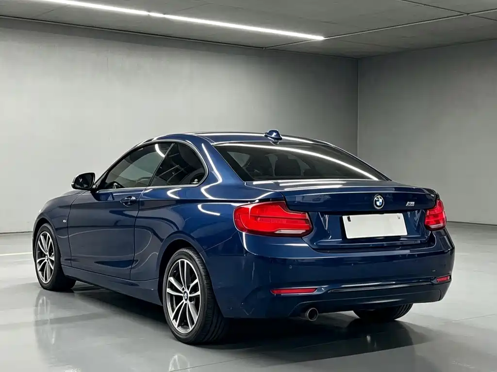 BMW 2 Series 2019 — фото 11