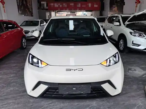 BYD Seagull 2024