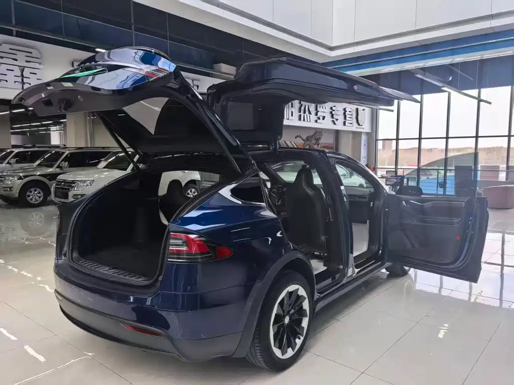 Tesla Model X 2017 — фото 28