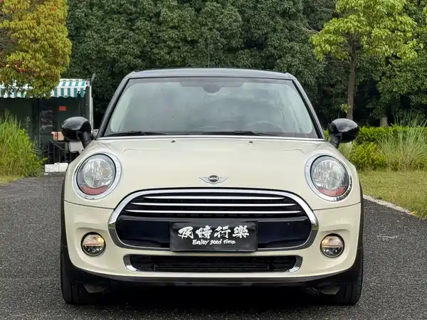 MINI 2017