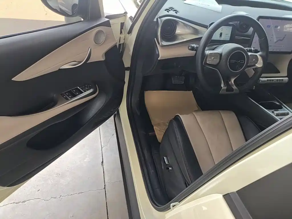BYD Dolphin 2023 — фото 16