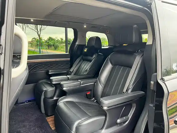 GAC Trumpchi M8 2020