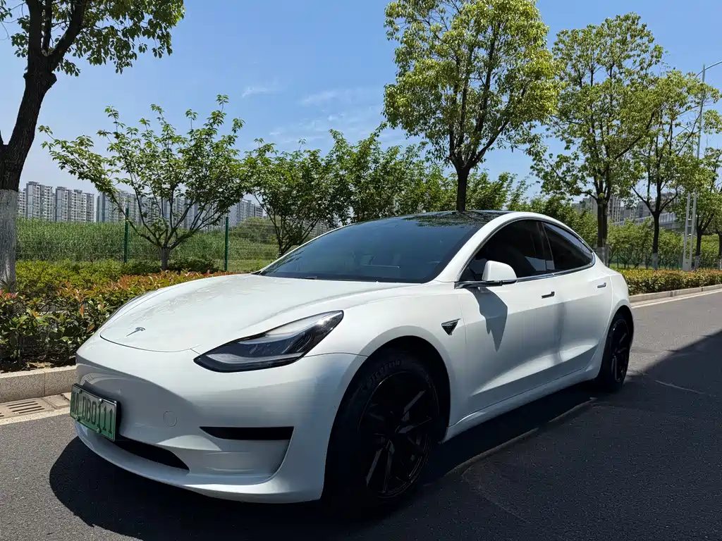 Tesla Model 3 2020 — фото 1