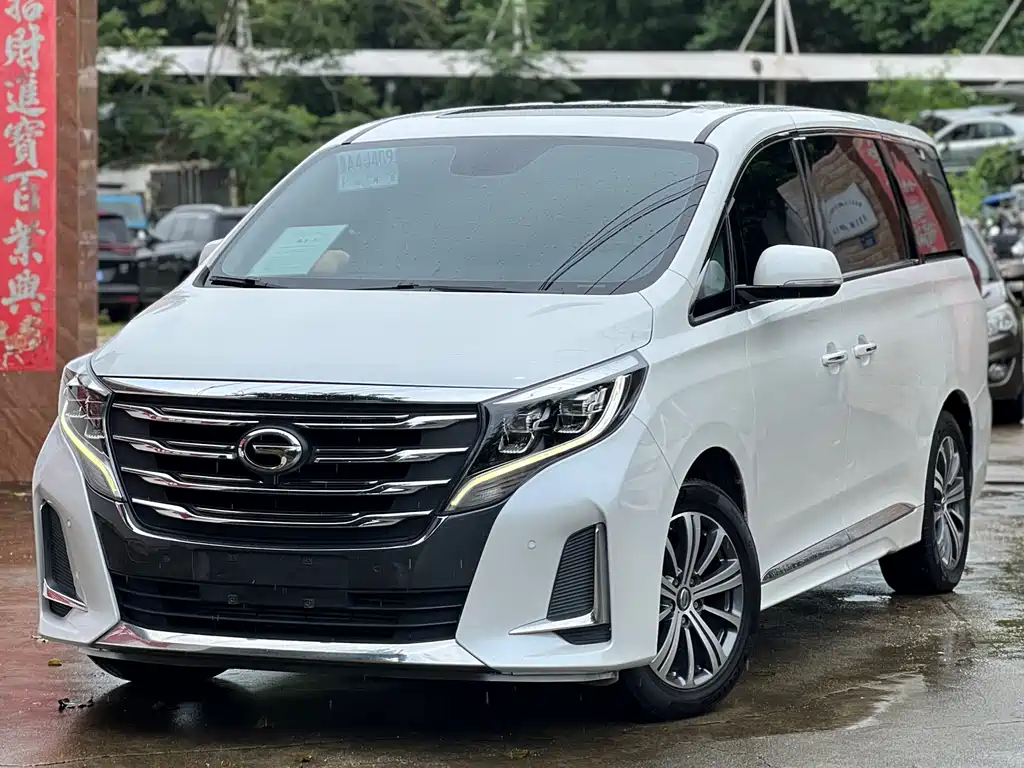 GAC Trumpchi M8 2020 — фото 1