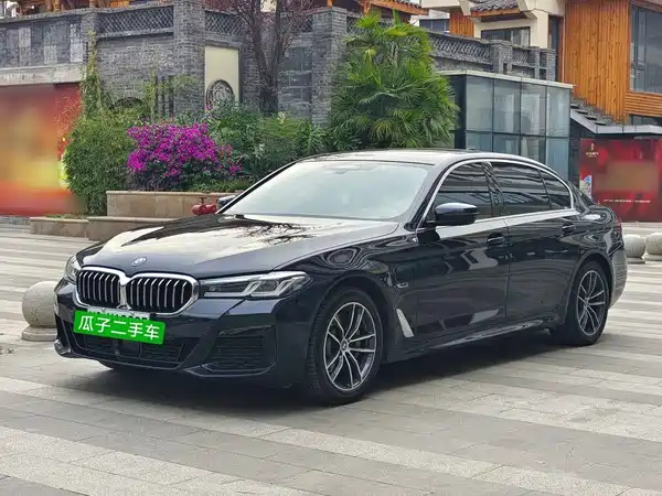 BMW 5 Series New Energy 2023