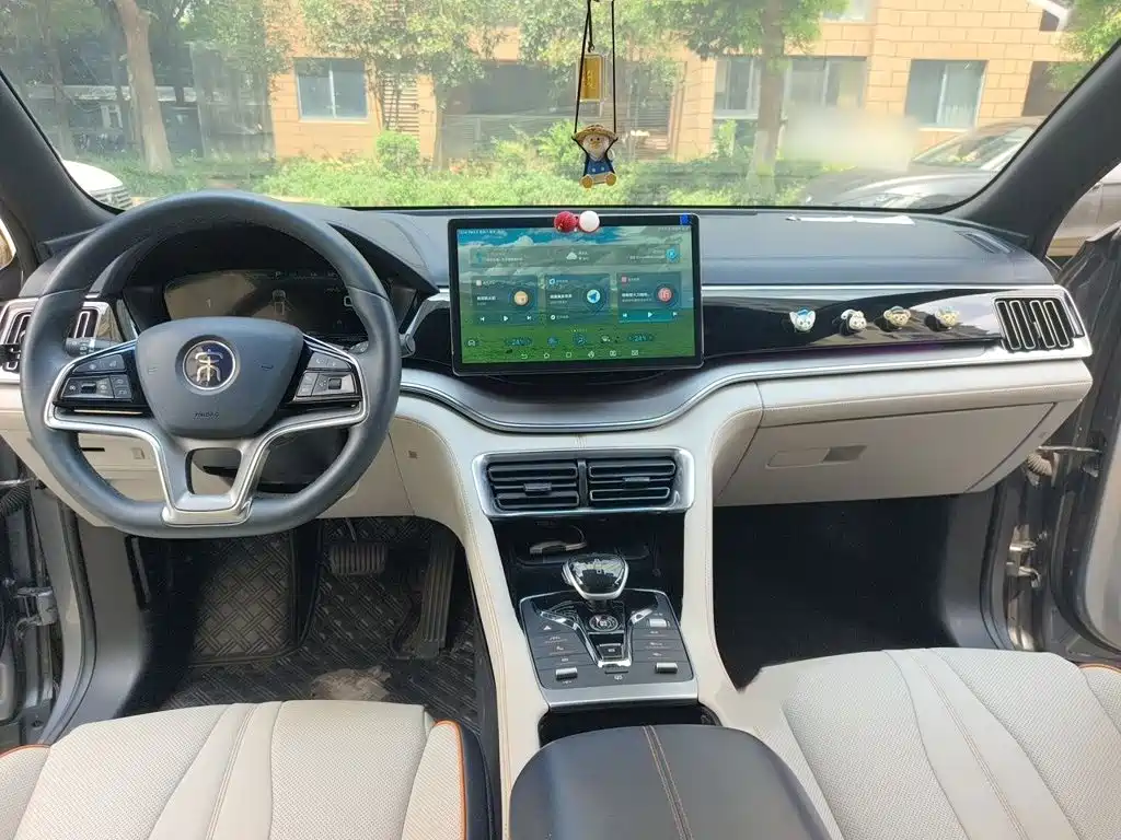 BYD Song PLUS New Energy 2021 — фото 13
