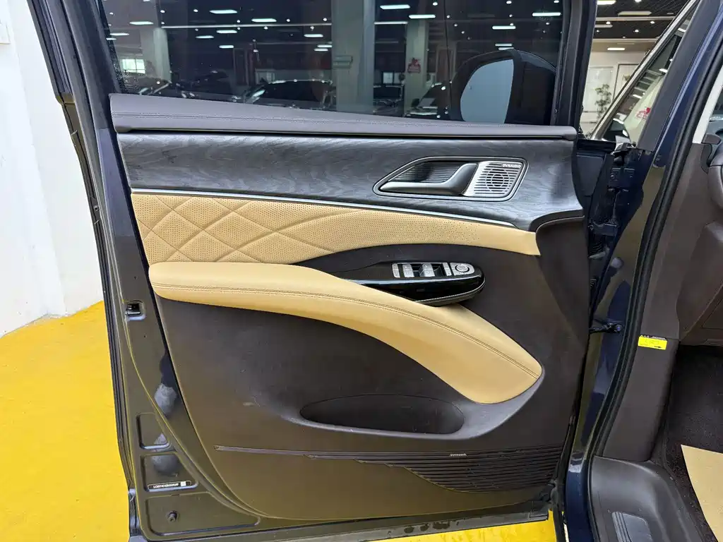 Denza D9 2024 — фото 3