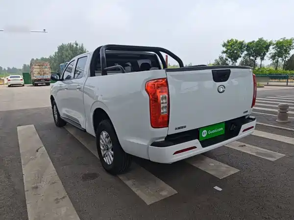 Great Wall Poer 2020