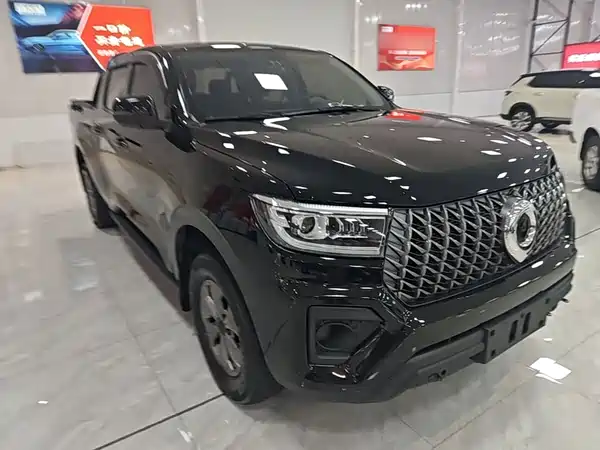 Great Wall Poer 2025