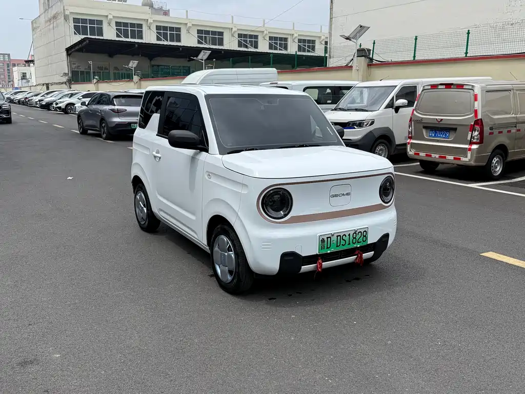 Galaxy Panda 2025