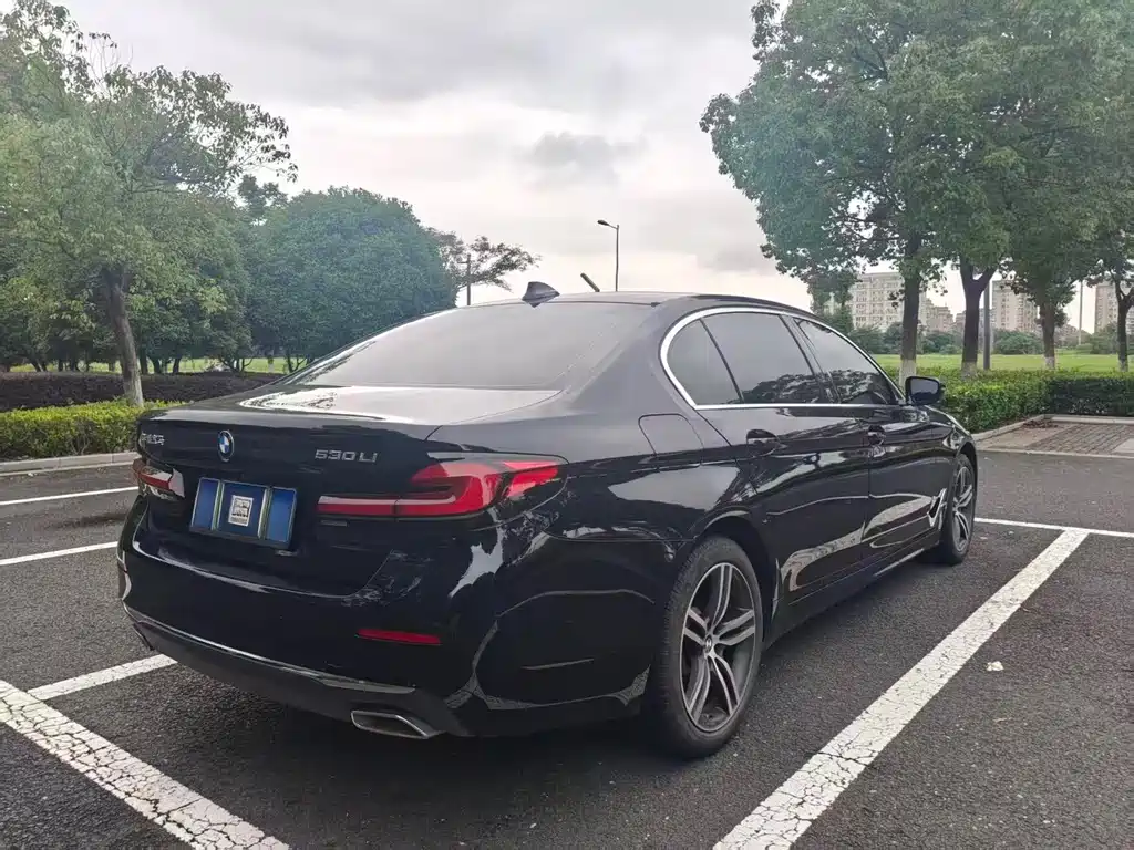 BMW 5 Series 2021